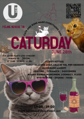 Cats saturday by Feline Rescue Tbilisi