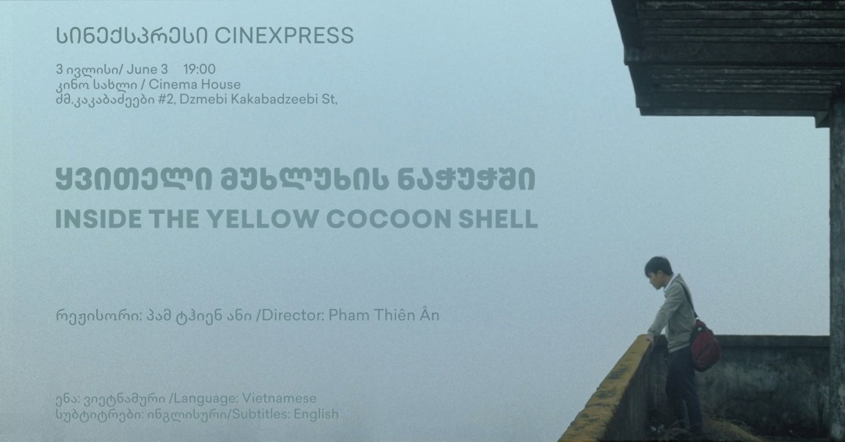 Inside the Yellow Cocoon Shell
