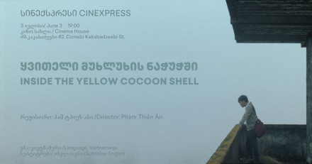 Inside the Yellow Cocoon Shell