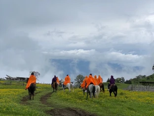 HORSEBACK ADVENTURE TO MOUNTAIN BORJOMI!