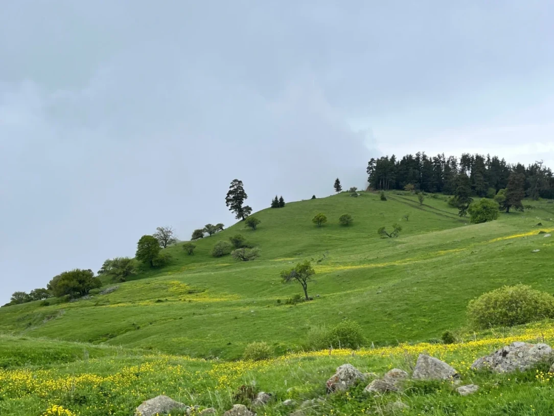 HORSEBACK ADVENTURE TO MOUNTAIN BORJOMI! - 46
