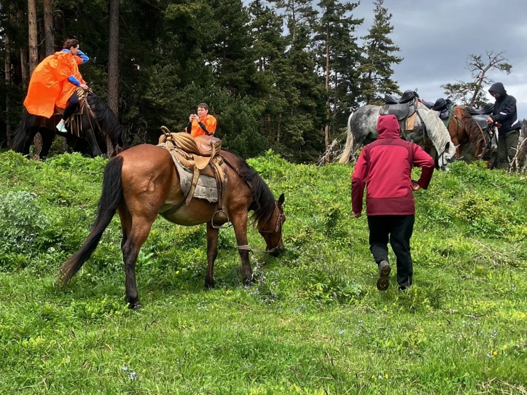 HORSEBACK ADVENTURE TO MOUNTAIN BORJOMI! - 48