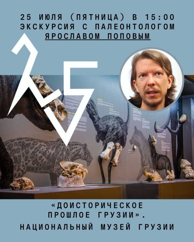 Экскурсия с палеонтологом «Доисторическое прошлое Грузии» в Национальном музее Грузии 