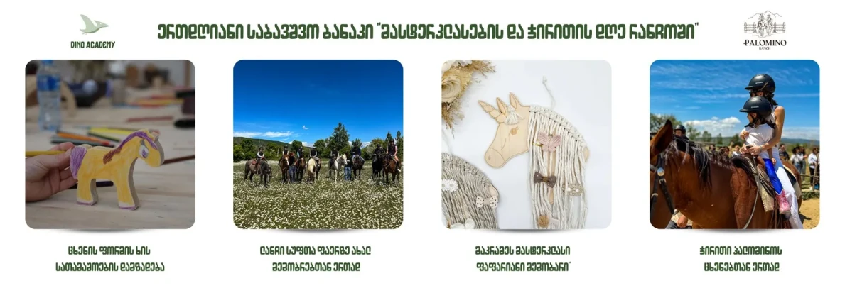 ერთდღიანი საბავშვო ბანაკი 