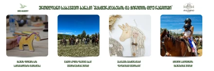 ერთდღიანი საბავშვო ბანაკი 