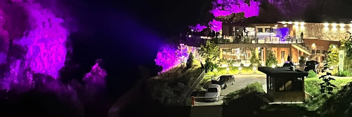 BOTANICO NIGHTS