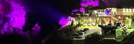 BOTANICO NIGHTS