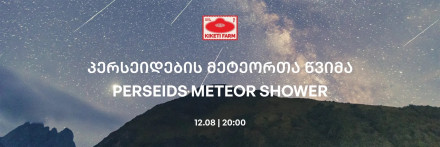 Метеорный дождь Персеиды на ферме в Кикети