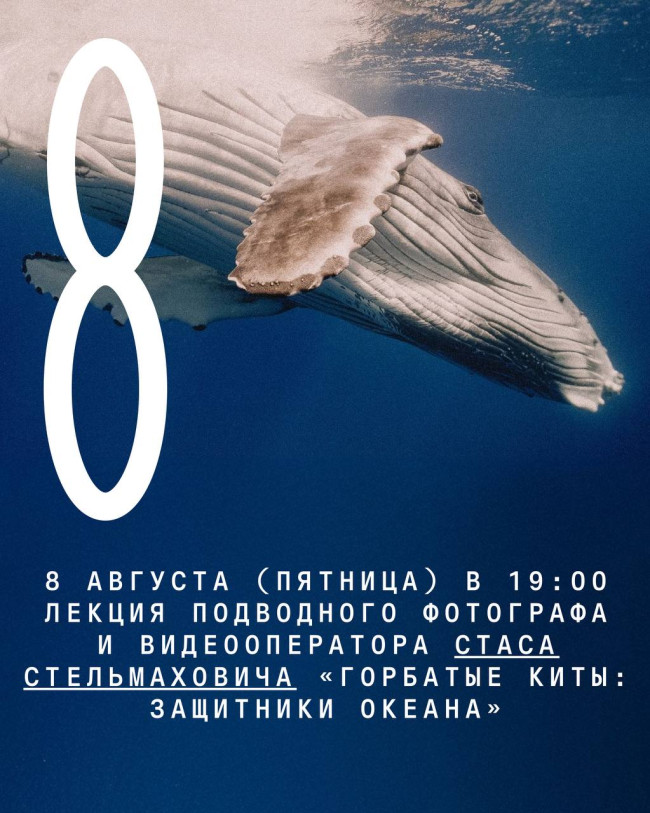 Лекция подводного фотографа и видеооператора Стаса Стельмаховича «Горбатые киты: защитники океана»