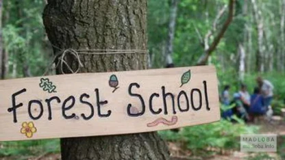 Scouting Camp at Forest School Batumi!  Day Camp for Children and Teenagers (7–15 years old)