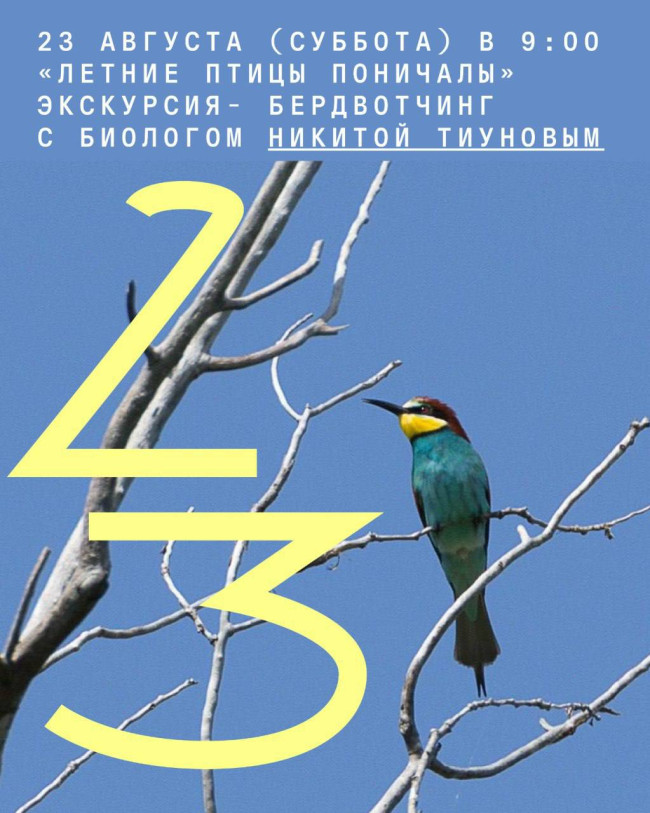 «Летние птицы Поничалы». Экскурсия- бердвотчинг с биологом Никитой Тиуновым 