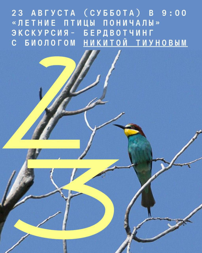 «Летние птицы Поничалы». Экскурсия- бердвотчинг с биологом Никитой Тиуновым 
