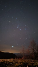 Evening Star Trek - Meteor Shower: Leonids