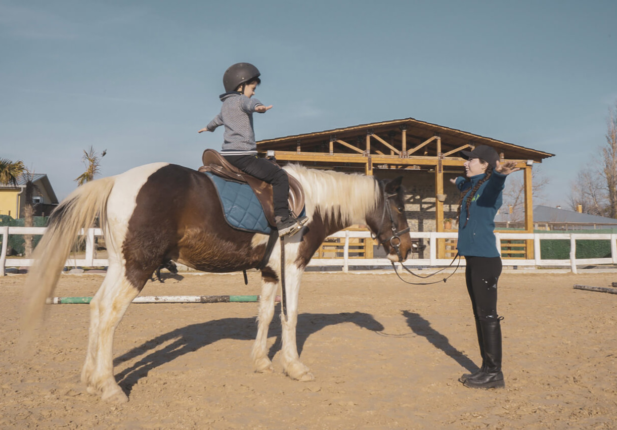 Family Day in a Horse Club - 1028