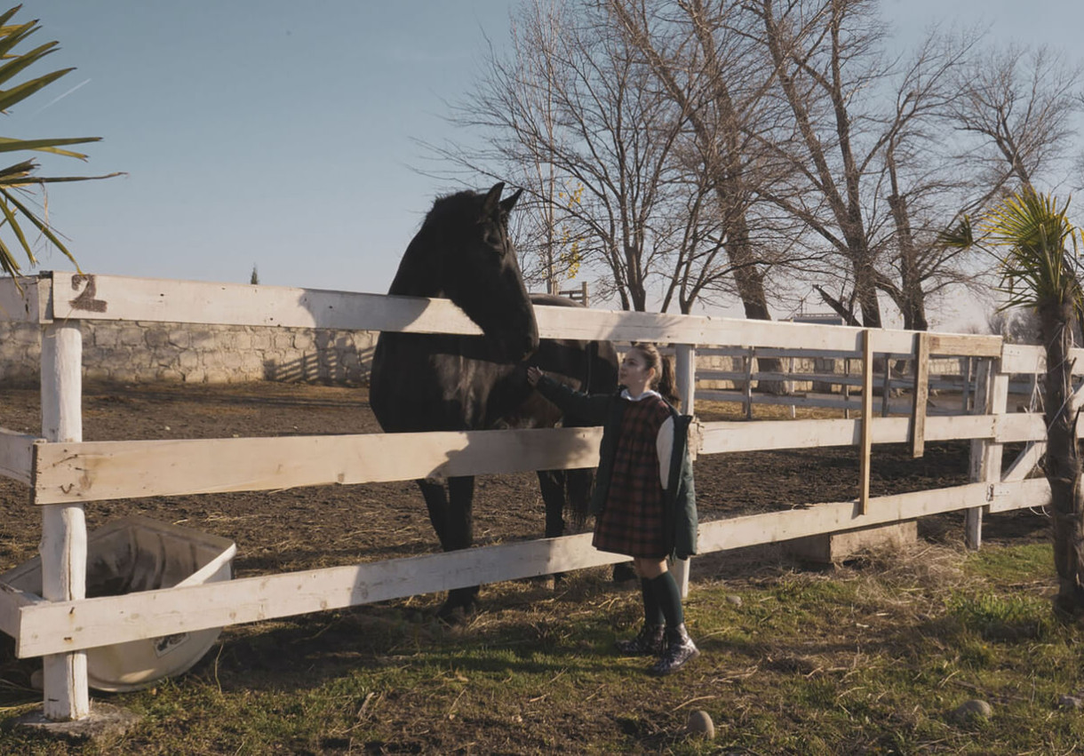 Family Day in a Horse Club - 1030