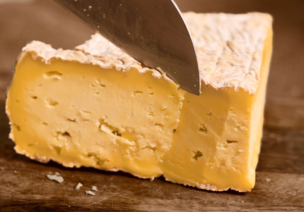 Cheese Degustation - 1496