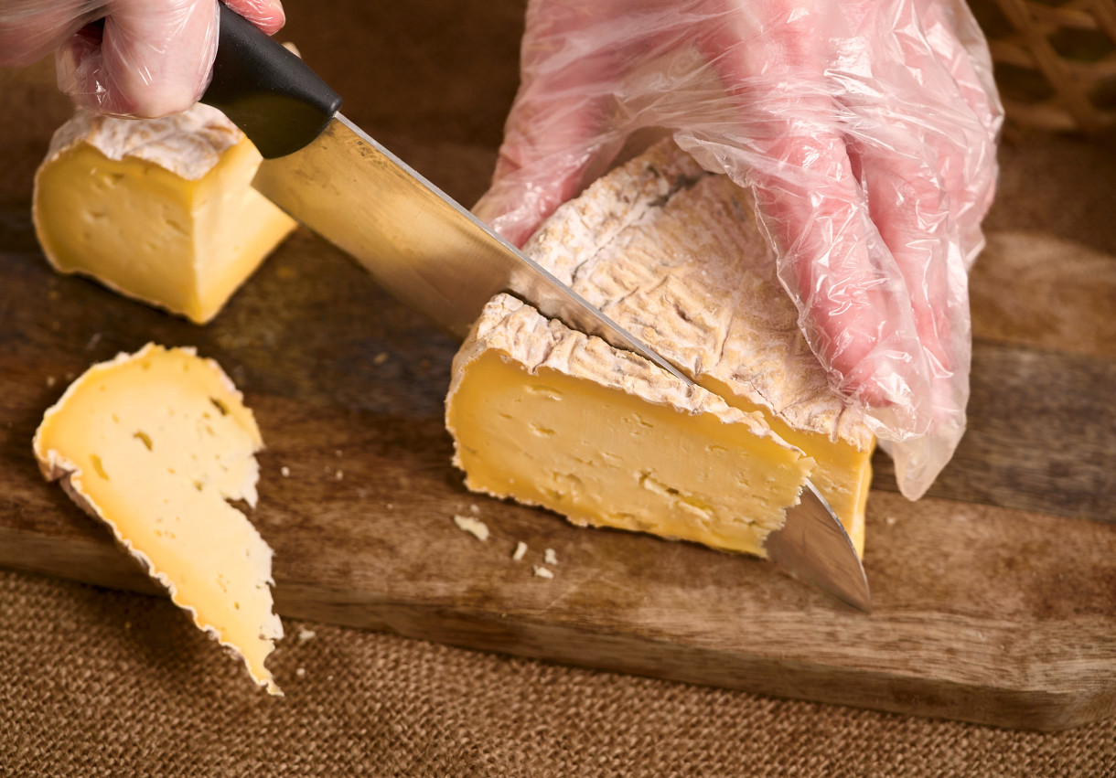 Cheese Degustation - 1497