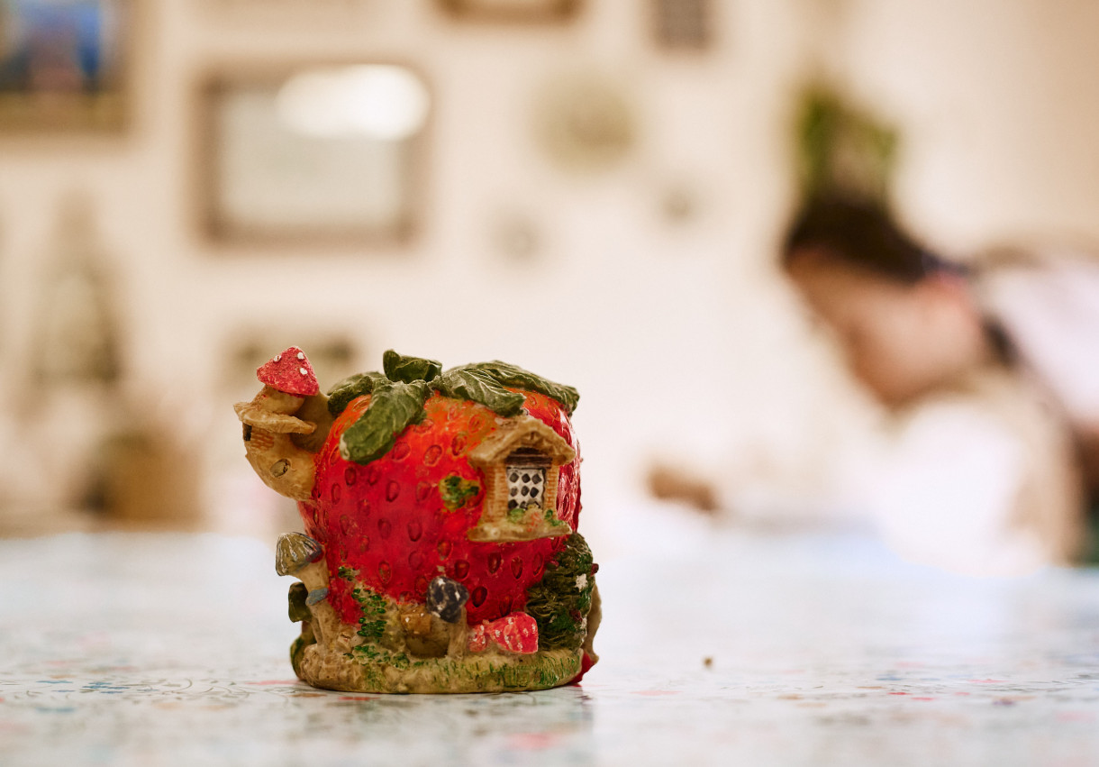 Painting a Strawberry House - 1523