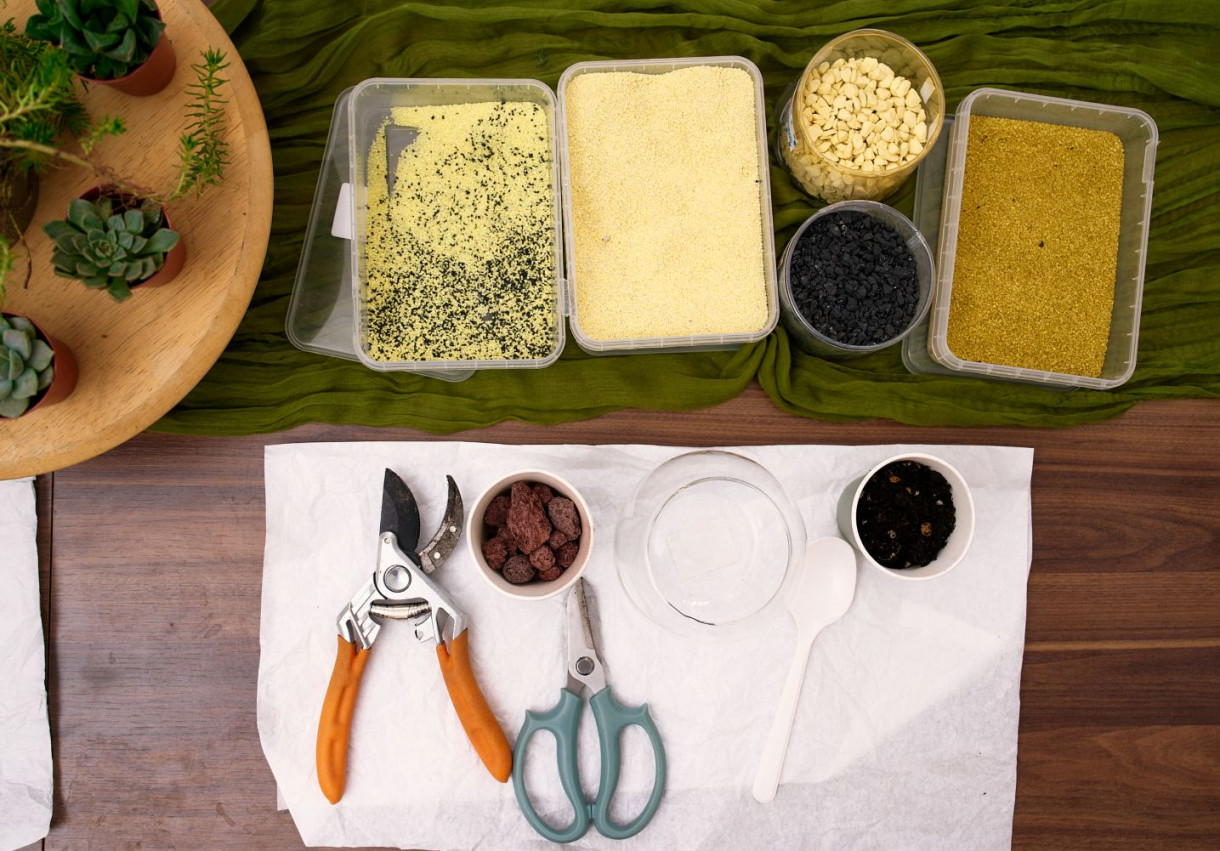 Terrarium Workshop for a Couple - 1591