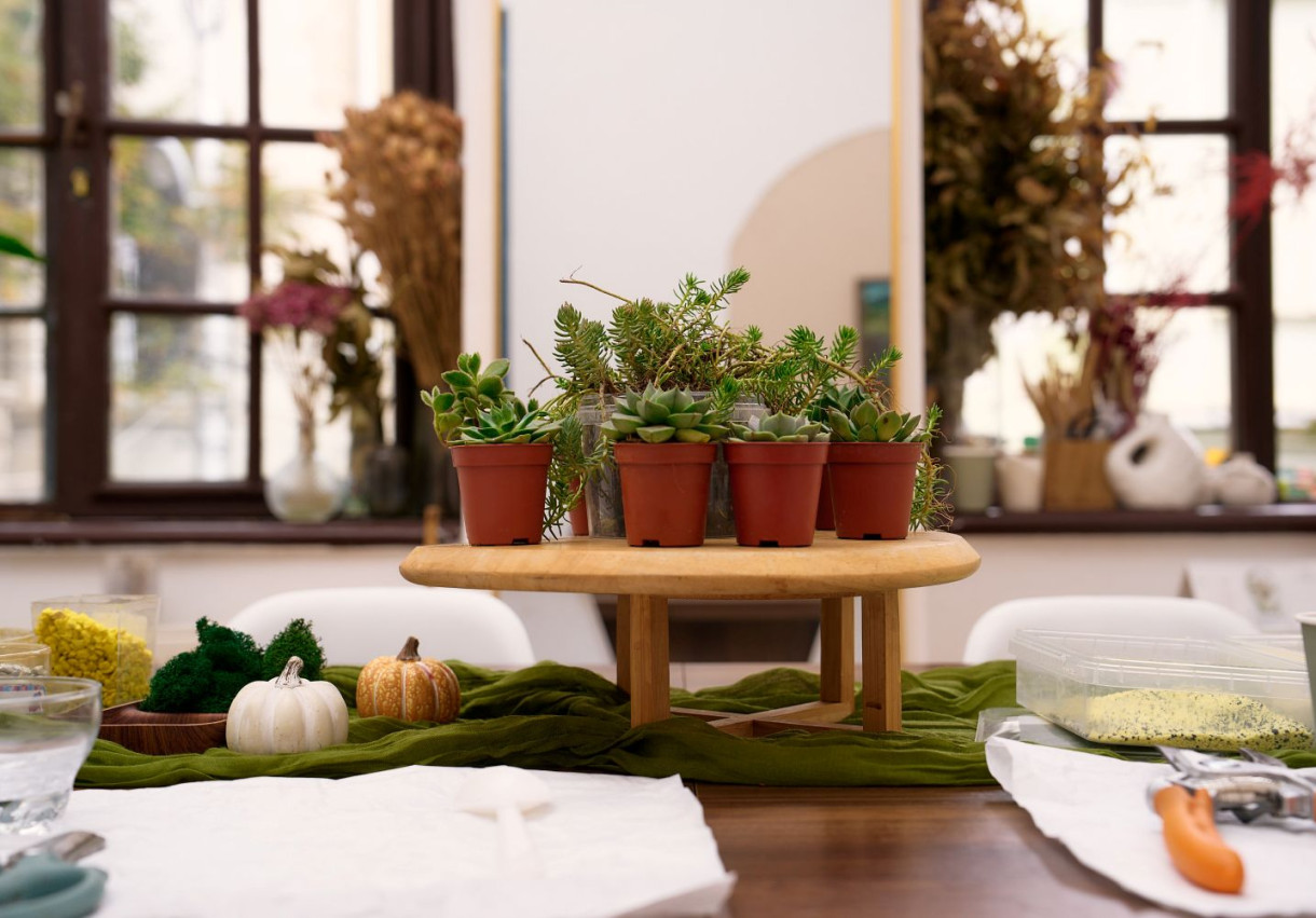 Terrarium Workshop for a Couple - 1592