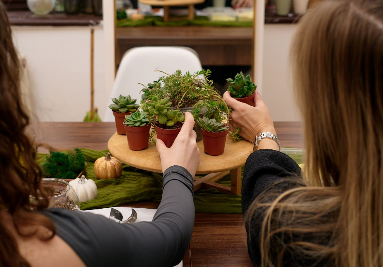 Terrarium Workshop for a Couple - 1593