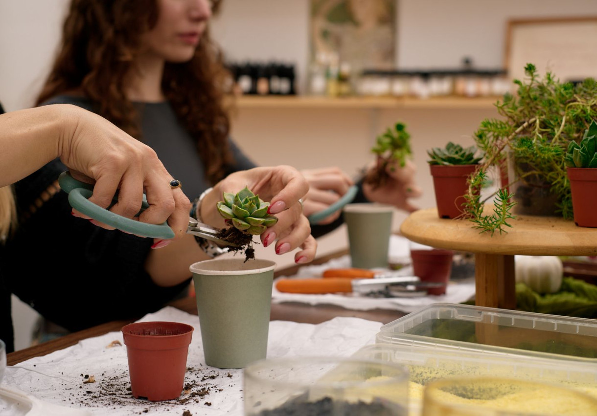 Terrarium Workshop for a Couple - 1594