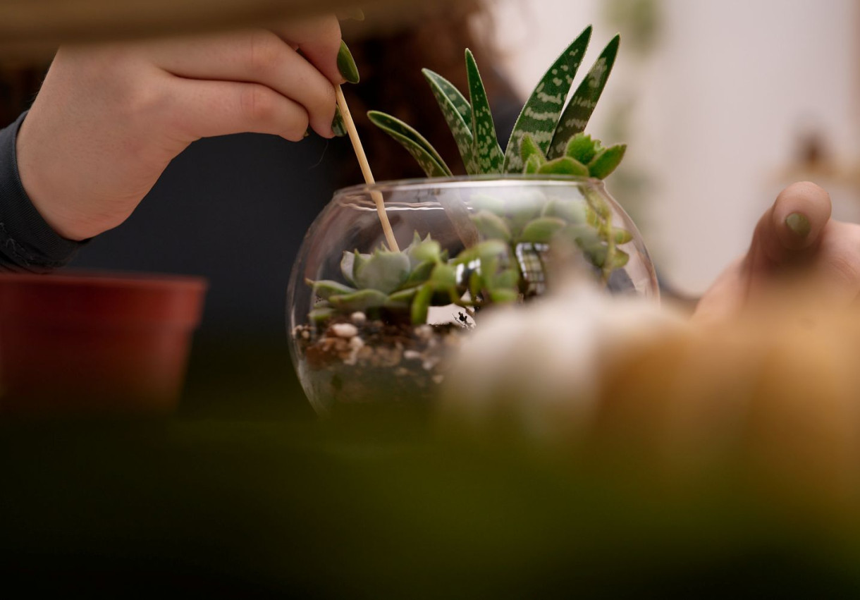 Terrarium Workshop for a Couple - 1596