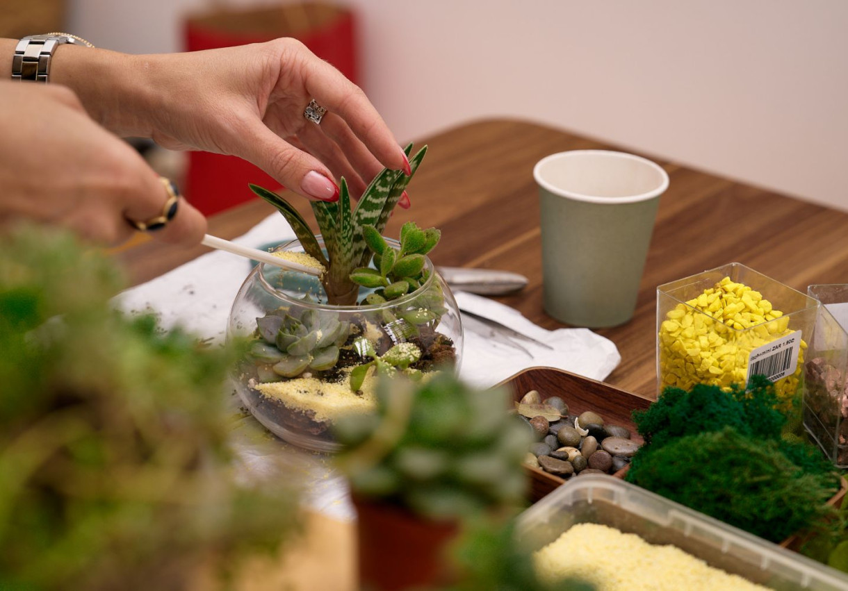 Terrarium Workshop for a Couple - 1597