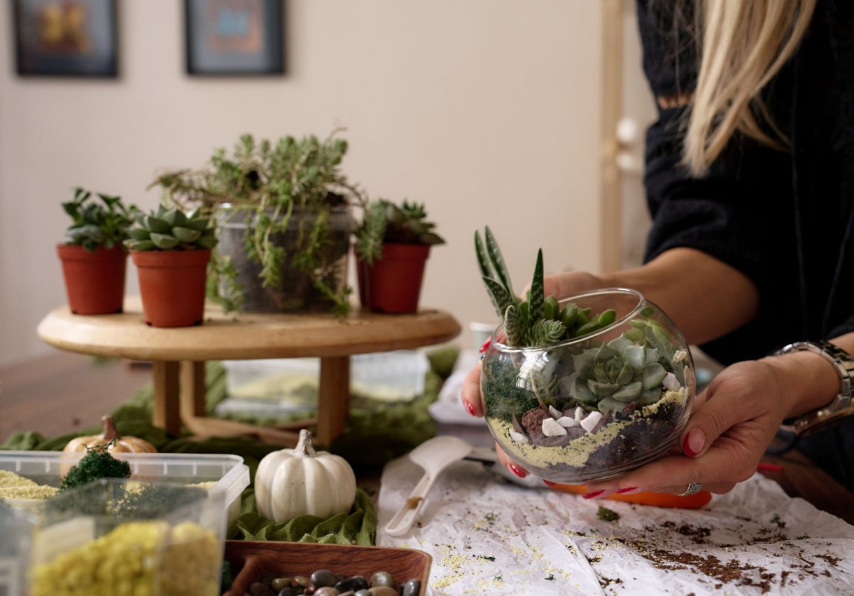 Terrarium Workshop for a Couple - 1598