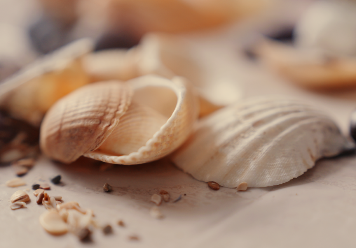 ეპოქსიდის „ზღვის“ მასტერკლასი - 1878