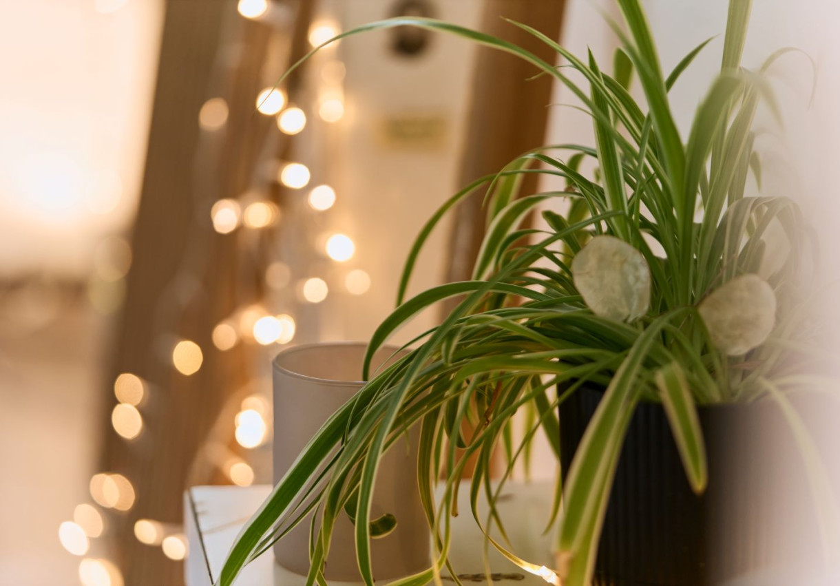 იოგას გაკვეთილები - 1943