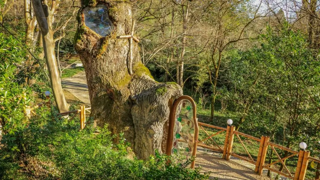 Ботанический сад Кутаиси