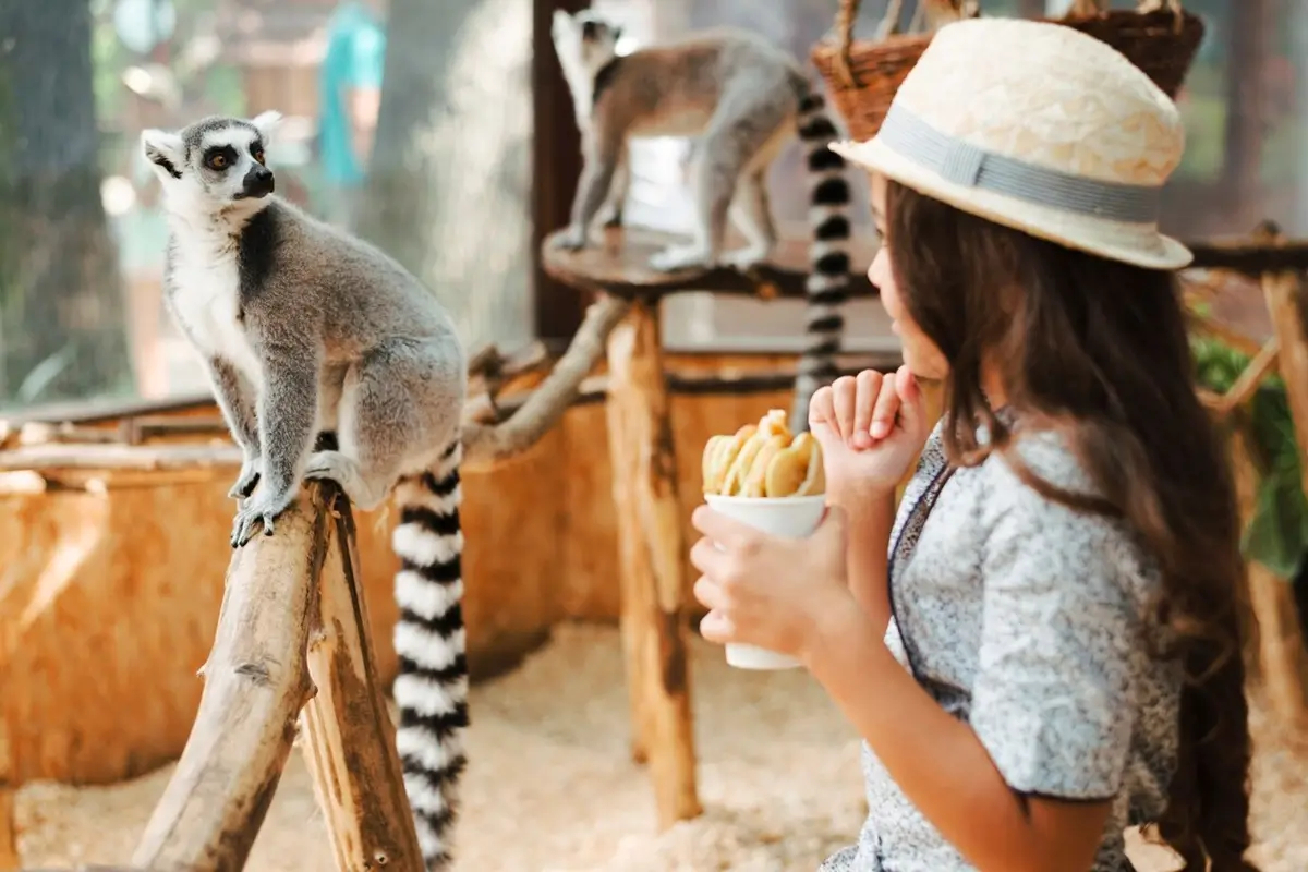 Tbilisi Zoo
